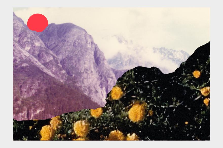 La OBC sube al escenario del Euskalduna y Kursaal en el siguiente programa de conciertos de Euskadiko Orkestra