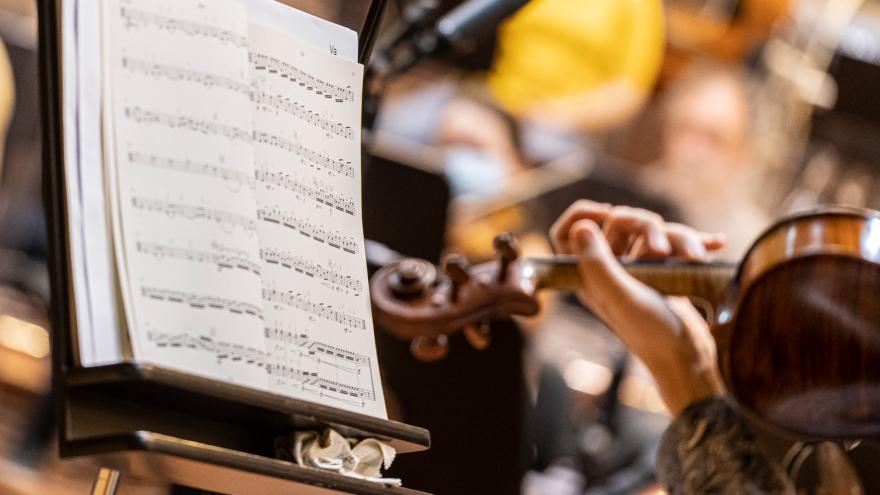 The Basque National Orchestra starts the selection procedure for one concertmaster and two viola tutti positions