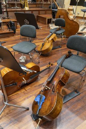 Vídeo audición para selección de colaboradoras/es de violoncello